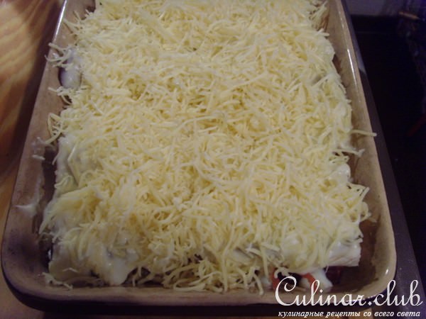 Cannelloni   