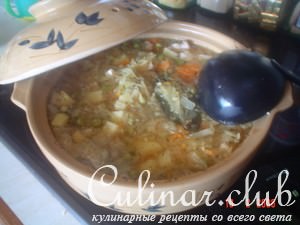 Chicken Casarole ( )