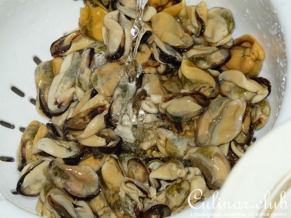  "Frutti di mare" (  ) 