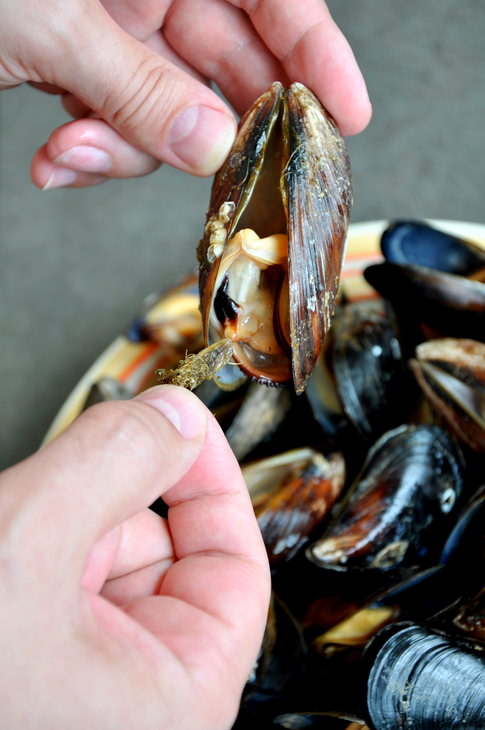      2 (Shellfish and Chicken Paella) 