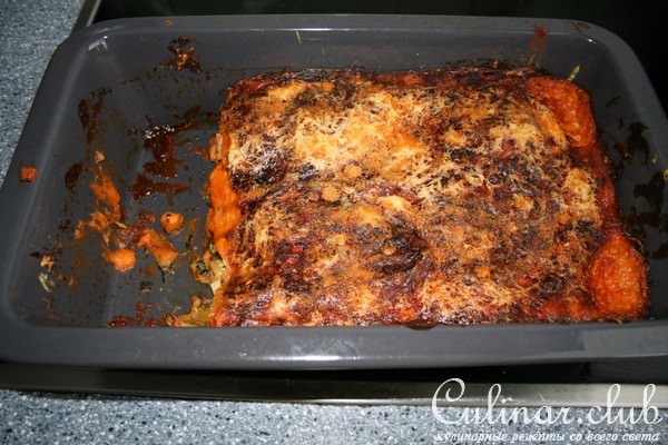      (Lachs-Spinat-Lasagne) 