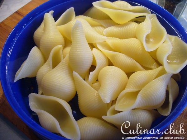   Conchiglioni ( ) 