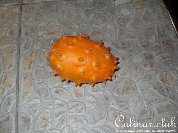   (tirami kiwano) 