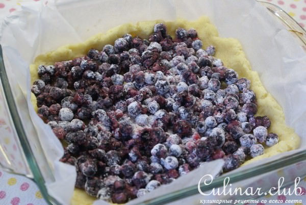 Crowberry and blueberry crumb bars (     ) 