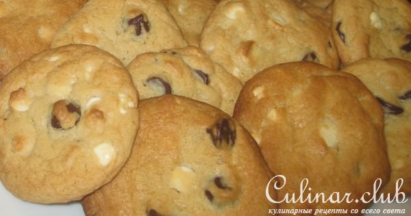     (Chocolate Chip Cookie ) 