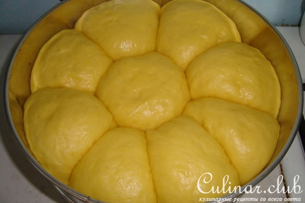 Torta Danubio -        