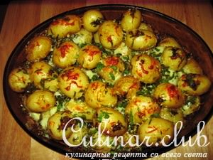 Pesto potato ( )