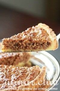 Turtle Torte    - , , 