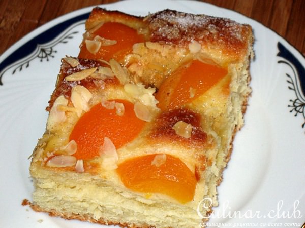 -  (Aprikosen-Butterkuchen) 